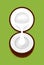 Coconut half cut and coconut milk white drop isolated on green, illustration brown coconut and milk cream pouring, clip art