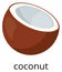 Coconut half icon. Tropical milk sweet nut