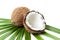 Coconut and half on palm tree leaf isolated