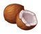 Coconut Half and Whole with Brown Fibrous Husk and White Flesh Vector Illustration