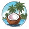 Coconut hand-drawn illustration. Coconut. Vector doodle style cartoon illustration