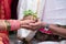 Coconut in the hand of priest during a ritual at a hindu wedding in India