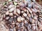 Coconut husk, keral coir industry raw meterials