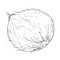 Coconut icon. Vector illustration of coconut nut. Hand drawn cartoon coconut. Chopped hairy nut