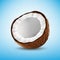 Coconut isolated