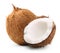 Coconut isolated