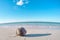 Coconut laying on the beach, dropping long shadow on the sand with turquoise sea and blue sky. Object picture, shot on action