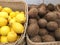 Coconut and lemons. Coconuts and lemons in a shop window. Sale of nuts. Sale of citrus fruits. Close-up