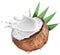 Coconut with milk splash inside.