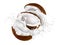 Coconut in milk splashes. Realistic flying pieces and half coconut, yogurt creamy drops, white liquid in motion and