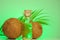 Coconut oil bottle and coconuts with palm leaves on a green background.Vegetable natural fats. natural coconut oil.