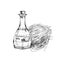Coconut oil bottle, retro hand drawn vector illustration.