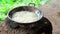 Coconut oil cooking instant hot method, at home. Heating and cooking coconut milk solution for oil extract.  old female hands mix