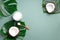 Coconut oil and ripe coconuts, tropical palm and monstera leaves on green background with copy space. Top view. Summer creative