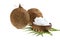 Coconut organic pure oil. Coconut oil in a wooden cup and coconuts fruits with green palm leaf isolated on white