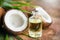 Coconut palm oil in a bottle with coconuts and green palm tree leaf on brown background. Coco nut closeup. Healthy food, skincare