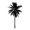 Coconut palm tree, isolated natural plant sign, vector