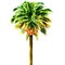 Coconut palm tree isolated, watercolor illustration