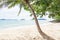 Coconut palm tree lean sloping over the tropical beach at Koh Chang island , Trat , Thailand