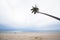 Coconut palm tree sloping on the beach in a cloudy and rainy day