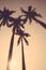 Coconut palm tree sunset silhouette vintage retro