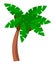 Coconut palm tree on a white background. Bent palm tree with large green leaves cartoon style