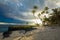 Coconut palm trees on the beach during the sunrise on Upolu, Samoa