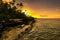 Coconut palm trees on the beach during the sunrise on Upolu, Samoa