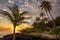 Coconut palm trees on the beach during the sunrise on Upolu, Samoa