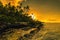 Coconut palm trees on beach during the sunrise on Upolu, Samoa I