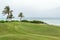 Coconut palm trees dancing in the wind by the beach. Manicured outdoor golf course