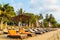 Coconut palm trees. Deckchairs umbrella and chair parasol