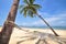 Coconut palm trees with hammock and tropical beach background