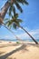 Coconut palm trees with hammock and tropical beach background