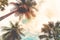 Coconut palm trees at seaside tropical coast,