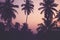 Coconut palm trees at sunrise vintage filter