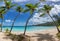 Coconut palm trees on tropical paradise Sunny beach