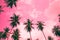 Coconut palm trees - Tropical summer breeze holiday, Color fun t