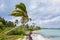 Coconut palms in the bahamas