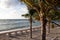 Coconut Palms on Beach with Chaise Lounges