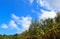 Coconut palms on the beaches of asia in phuket in thailand, against the backdrop of mountains and blue sky