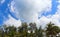 Coconut palms on the beaches of asia in phuket in thailand, against the backdrop of mountains and blue sky