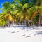 Coconut palms, empty loungers, beach