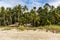 Coconut palms and a hut at Aninuan Beach on Mindoro Island!