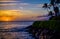 Coconut palms, lava shoreline, maui sunset