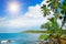 Coconut palms on the ocean shore