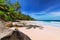 Coconut palms on paradise beach and turquoise ocean in island of Seychelles