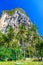 Coconut palms and rocks near the water, Tonsai Bay, Railay Beach, Ao Nang, Krabi, Thailand