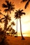 Coconut palms on sand beach in tropic on sunset