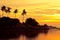 Coconut palms on sand beach in tropic on sunset